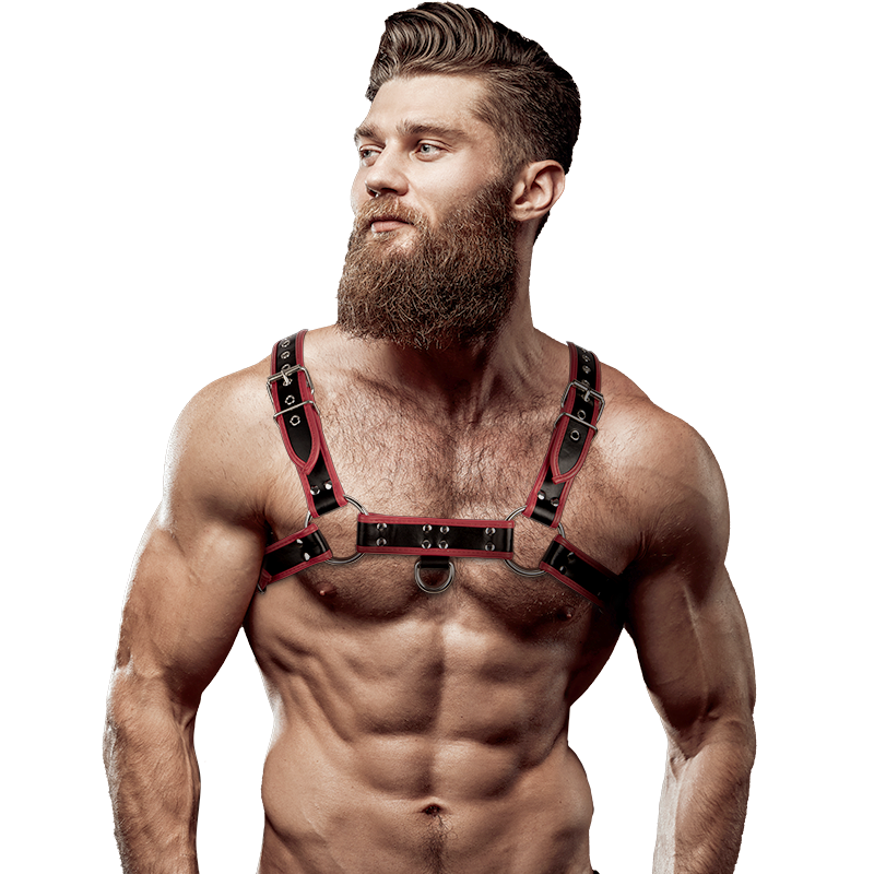 Arnês Masculino Fetish Submissive Ricks