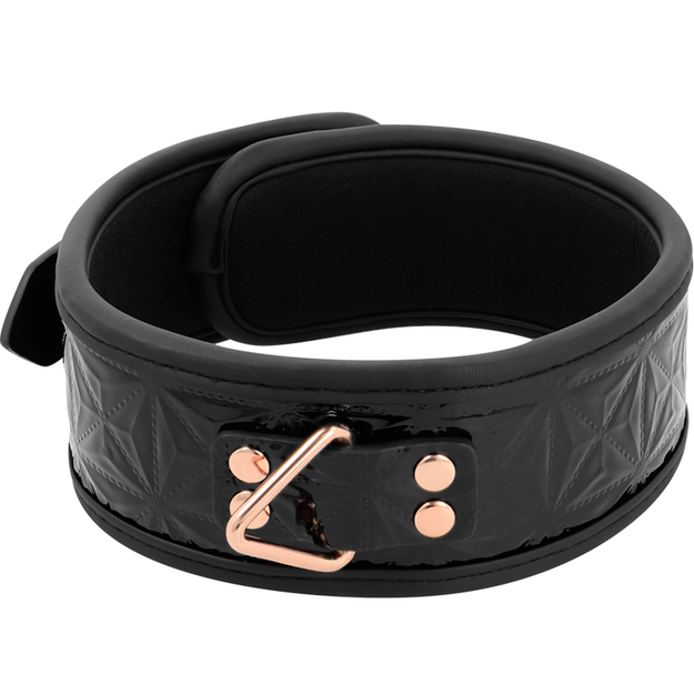 Coleira e Trela Begme Black Edition