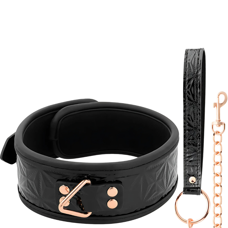 Coleira e Trela Begme Black Edition