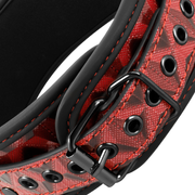 Coleira e Trela Begme Red Edition