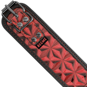 Coleira e Trela Begme Red Edition