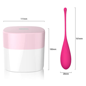 Conjunto 6 Bolas Kegel Leslie